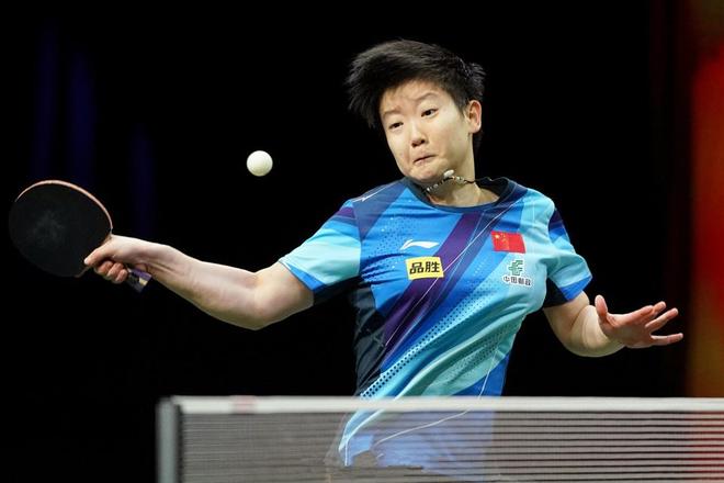 提供了发现 提供了发现